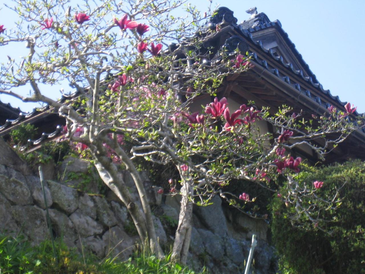 Japanese Style Inn Dohzen Miwa Niimi Exterior photo